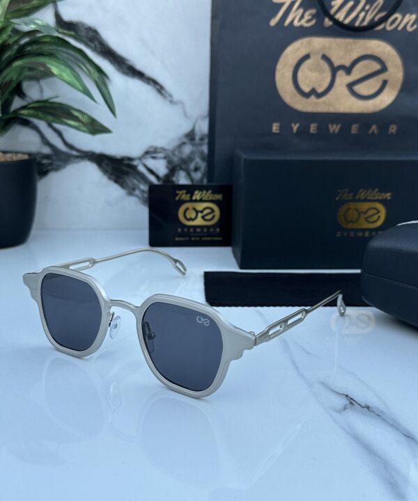 Branded  WLSON 2381 silver black Sunglasses