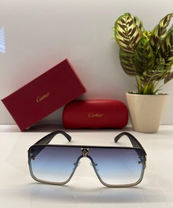Branded Ctier Blue Sunglasses EW